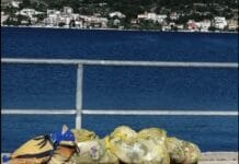 Eko akcija ‘Vala Studena 2026.’ okupila je u Žaboriću stotinjak volontera