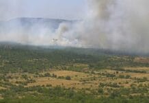 Požar na području Danila gase i zračne snage