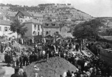 Sokol…Partizan…Miminac