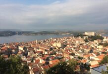 Lions klub Luce pridružuje se još jednoj humanitarnoj akciji