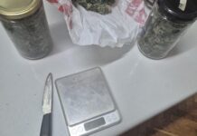 Policija na A1 kod Vodica zaustavila 28-godišnjaka i uz pomoć psa pronašli kokain