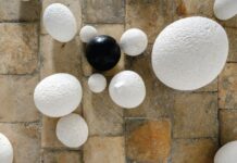 Otvorenje izložbe Tomislava Šalova ‘Nevjerni Toma’ u Galeriji sv. Krševana