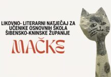 Raspisan likovno-literarni natječaj Mačke