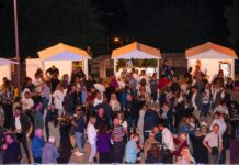 Ovaj vikend u Drnišu rezerviran za 5. Festival drniškog merlota