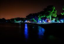 Poznati izvođači Membrain Pulse, jednodnevnog bass partyja na Martinskoj