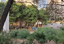 Organizatori koncerta MPT-a pokušali sakriti kemijske WC-e u šumi Spomen parka