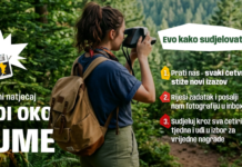 Hrvatske šume pozivaju građane: Još stignete postati „oko šume”