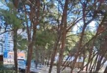 Spomen-park Šubićevac počišćen kao da koncerta nije ni bilo