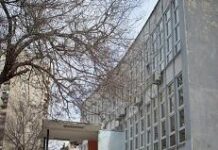 Zeleni impuls Šibenika: Zajedno obnovimo dvorište OŠ Tina Ujevića
