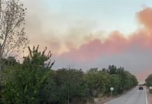 Dva kanadera od ranog jutra gase požar kod Perkovića