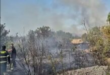 Planuo požar kod Širitovaca. Na terenu drniški i prominski vatrogasci i Air traktor